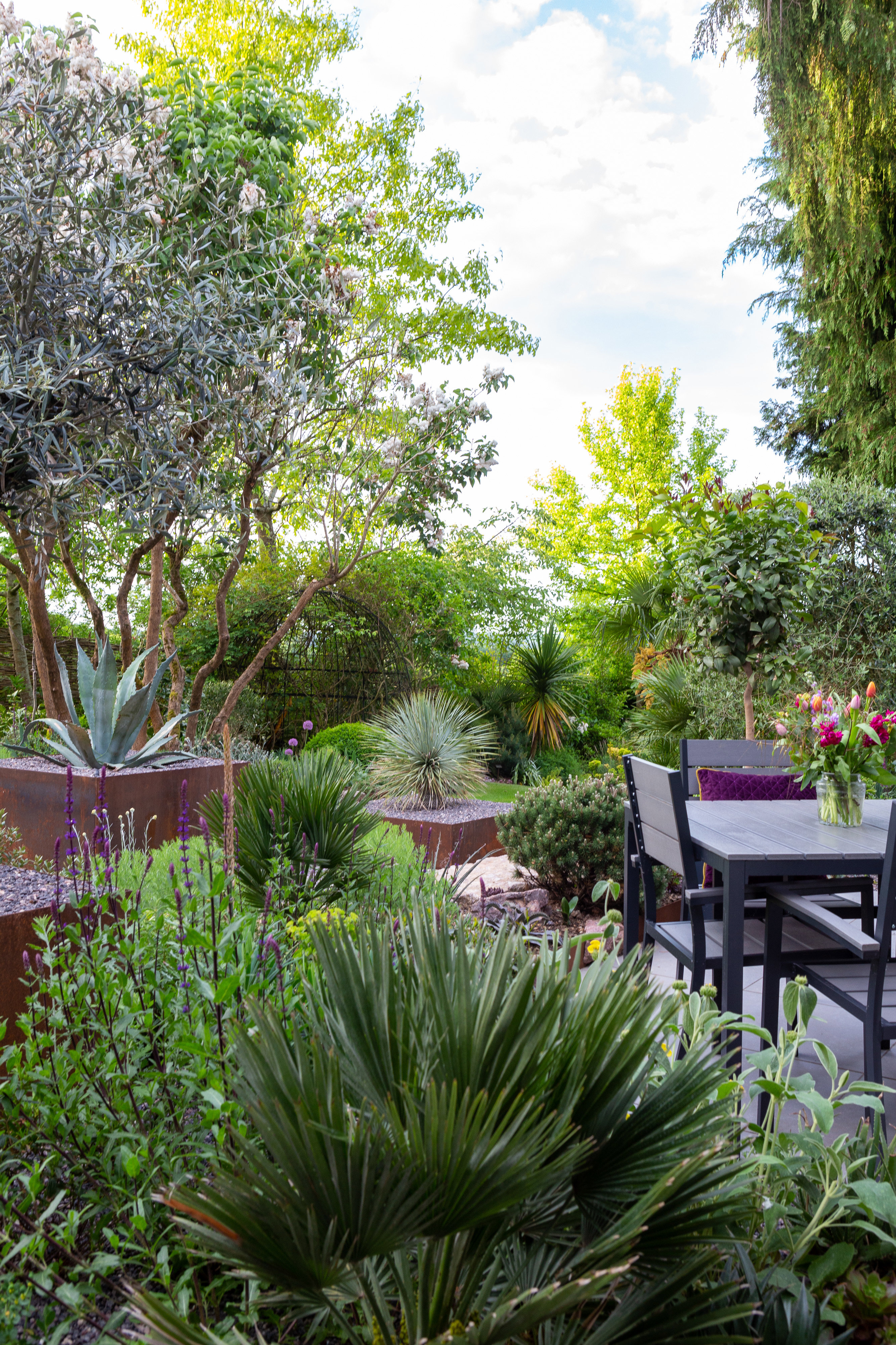The Contemporary Courtyard Garden ‎ ‎ ‎ ‎ ‎ ‎ ‎ 