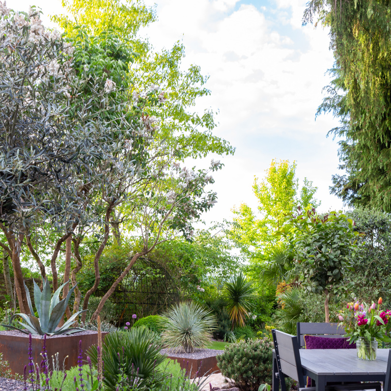 The Contemporary Courtyard Garden 