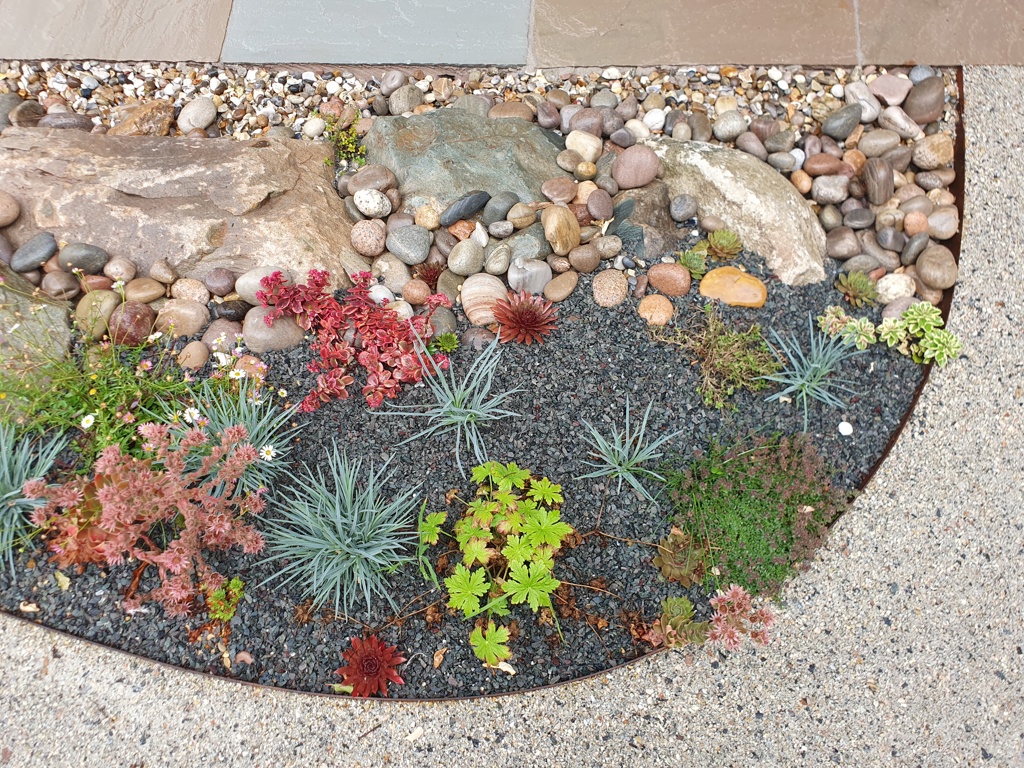 Metal edging, gravel planting and path