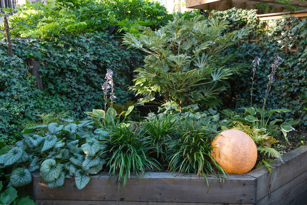 West End Glasgow Garden 5
