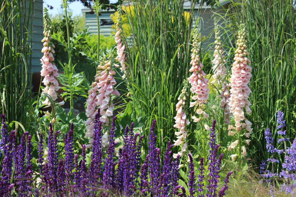 Long Walk planting