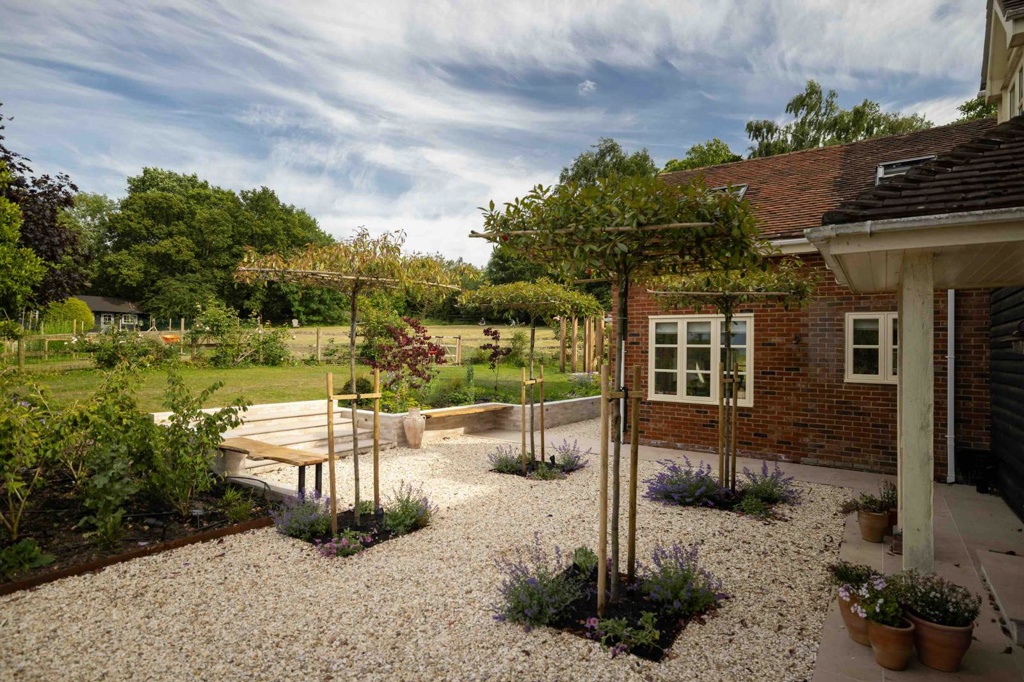 Pleached trees and bench