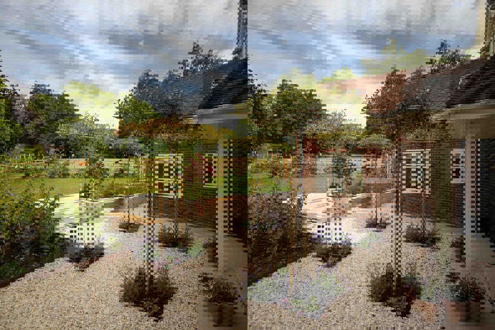 Pleached trees and bench