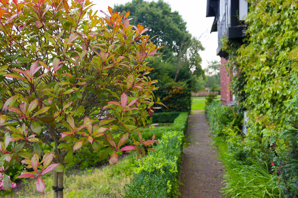 The Large Country Garden in Cheshire