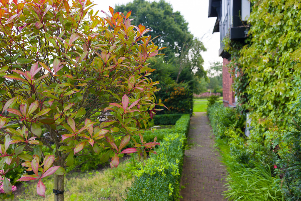 The Large Country Garden in Cheshire