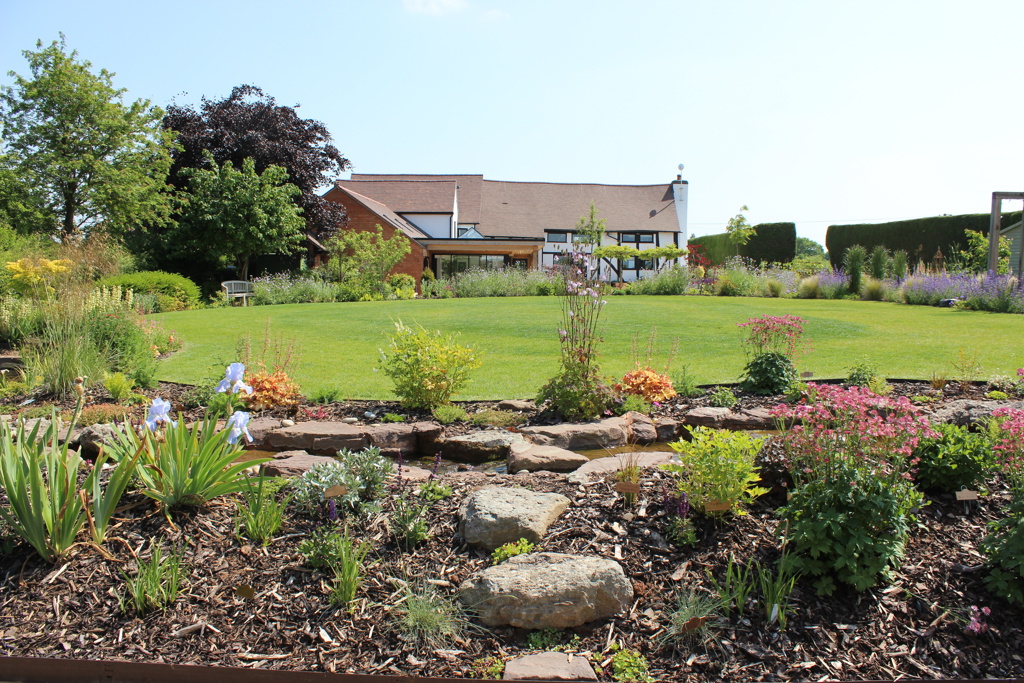 Central lawn and planting
