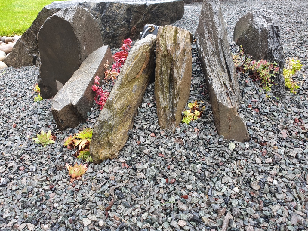 Alpine plants