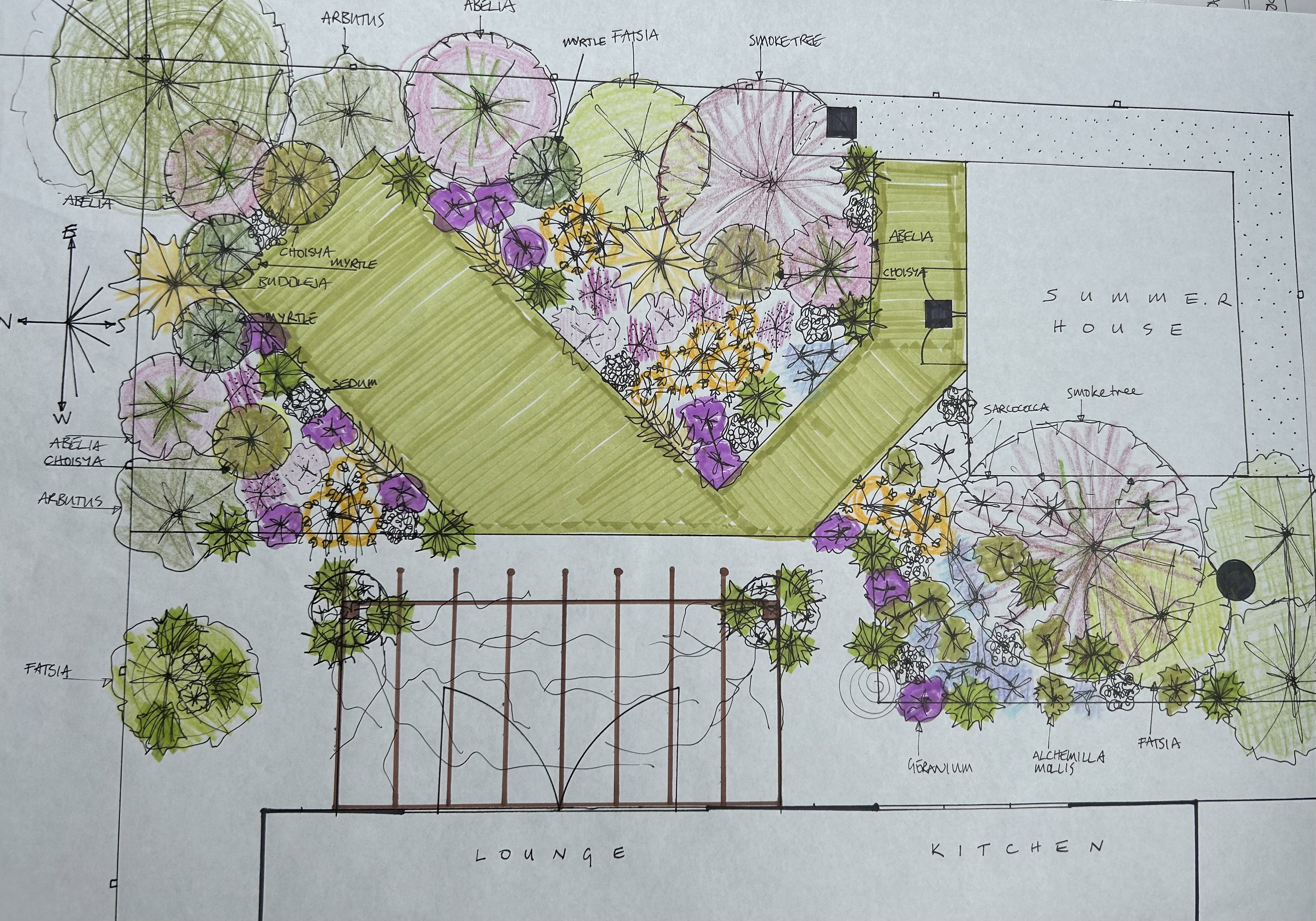 Garden design and planting plan