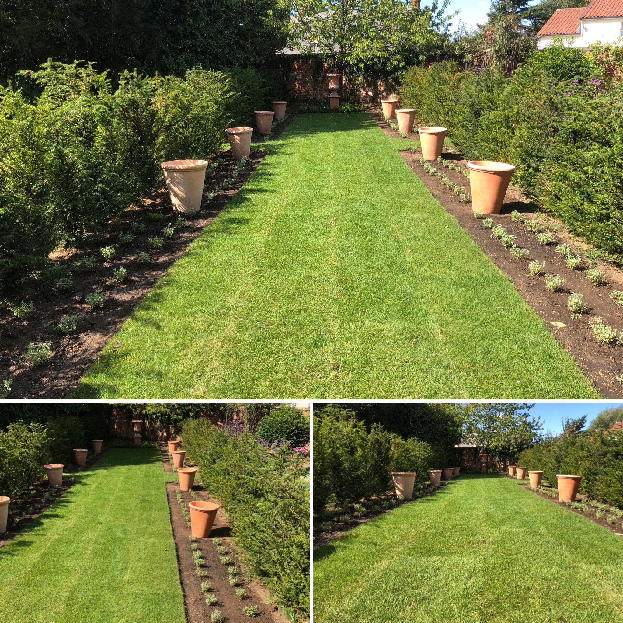 Avenue and focal point 