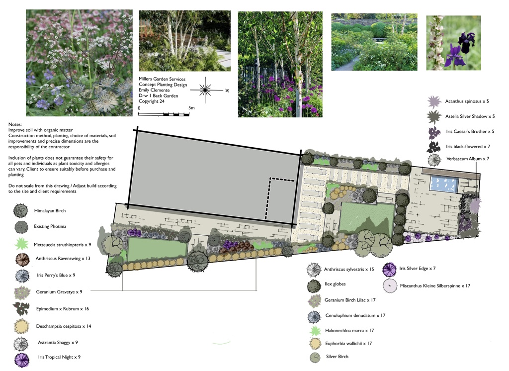 A Modern Garden Design