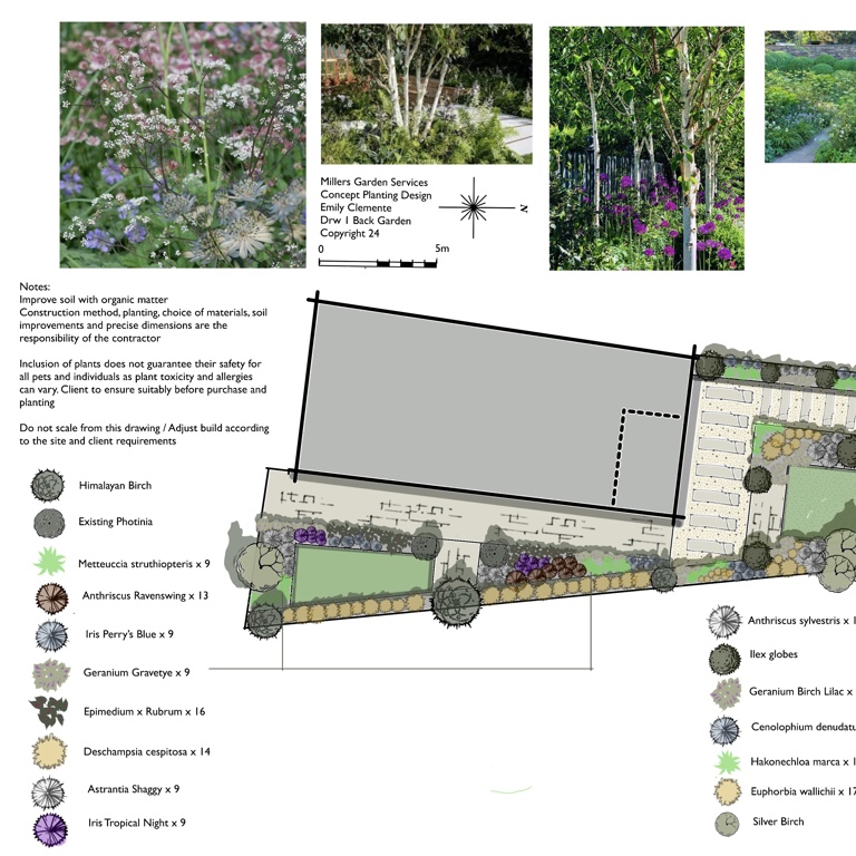 A Modern Garden Design