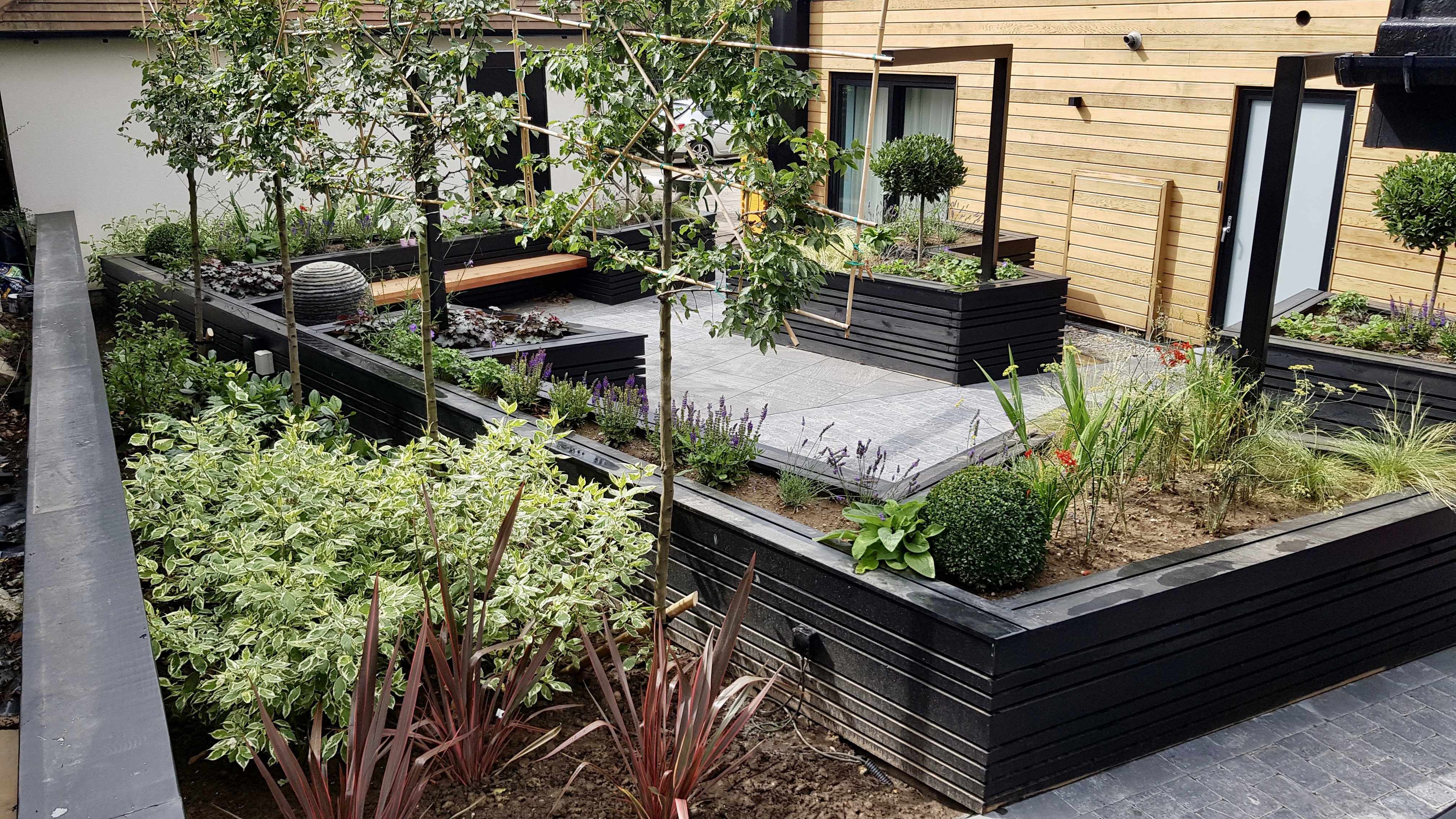 A contemporary courtyard garden with wheelchair accessibility