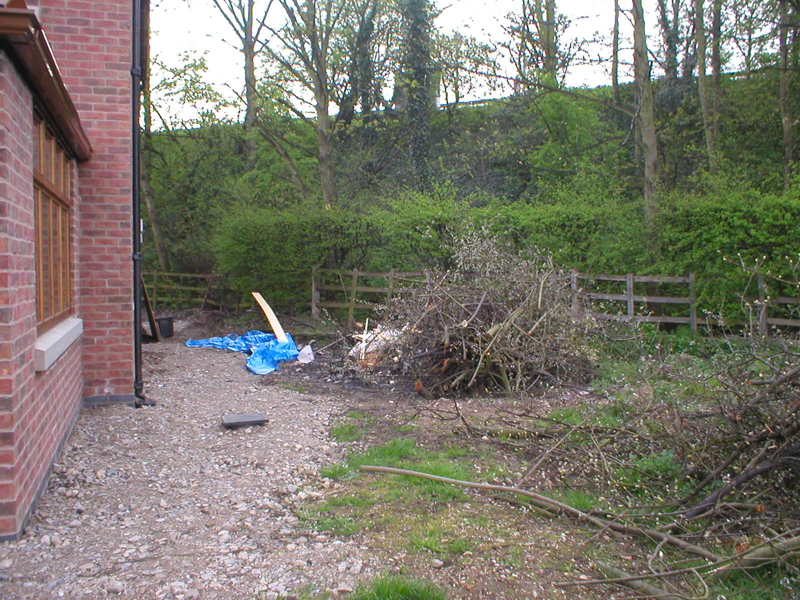 Before pic2