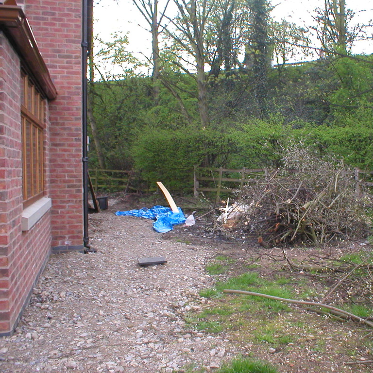 Before pic2
