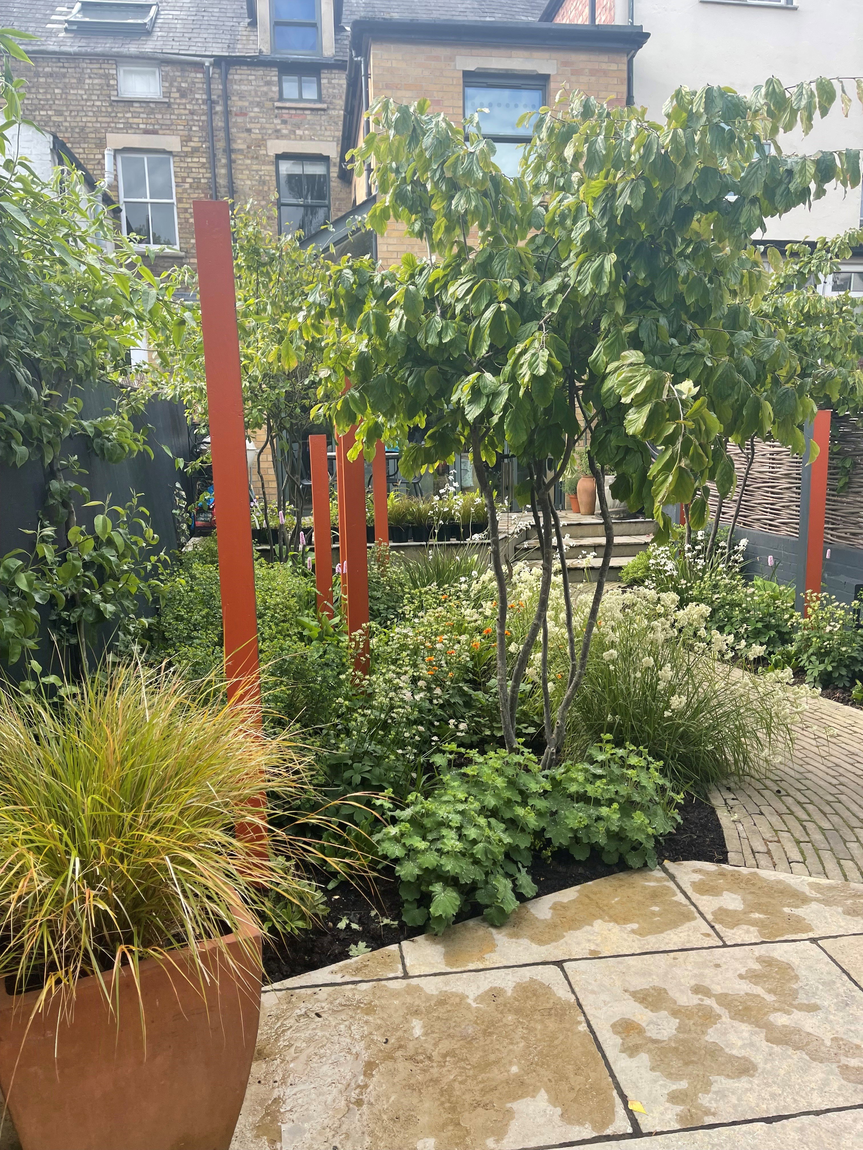 The view to the house