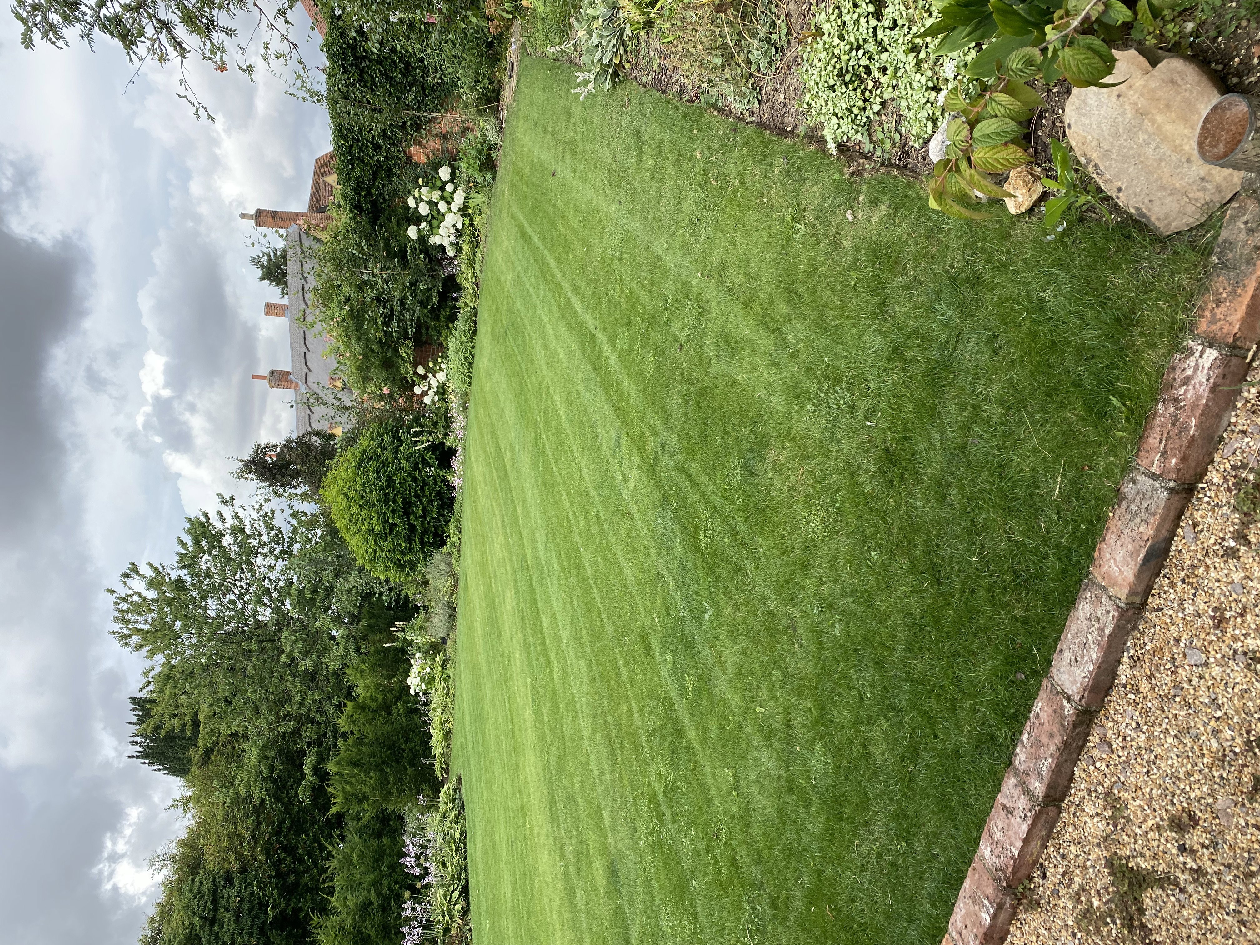 Lawn 