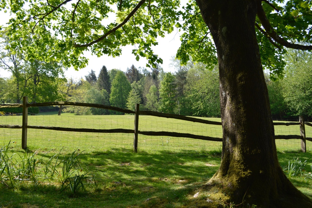 View over Fields