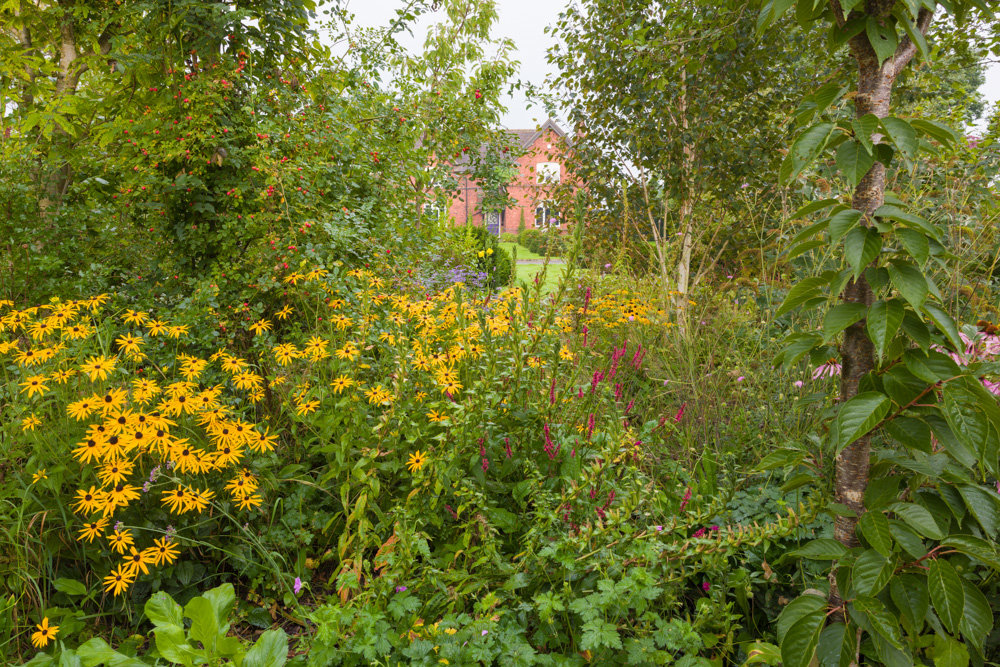 The Large Country Garden in Cheshire