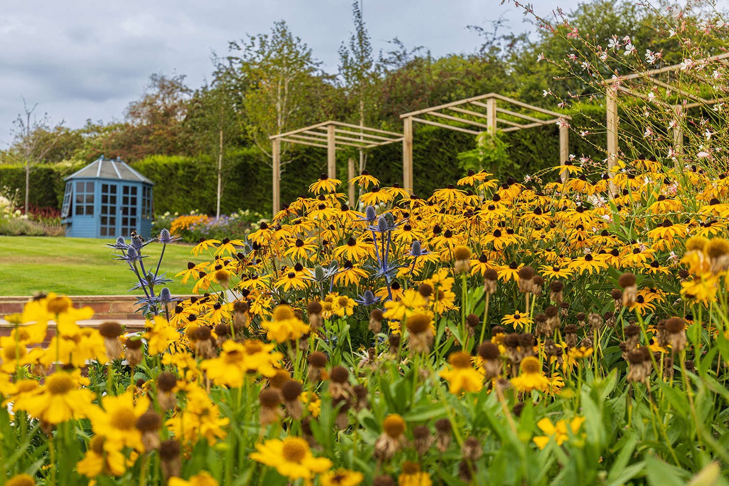 Naturalistic planting