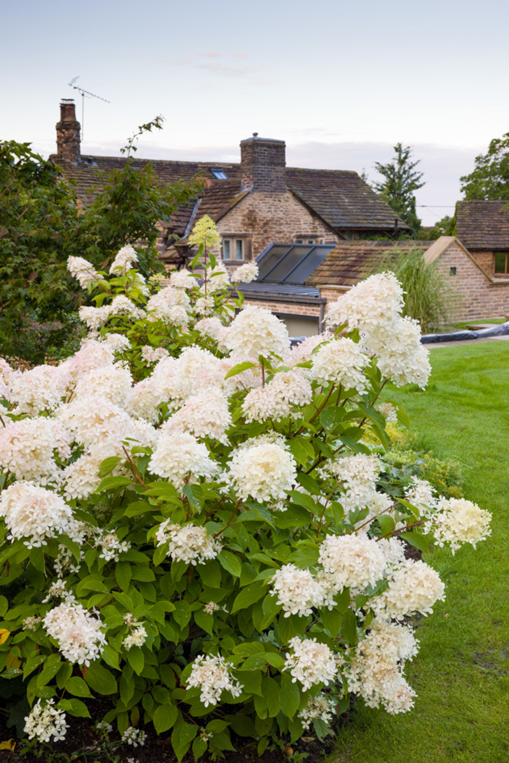 The Country Garden in the Hills