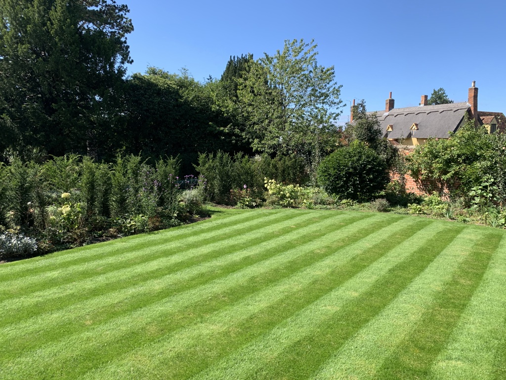 Lawn and planting