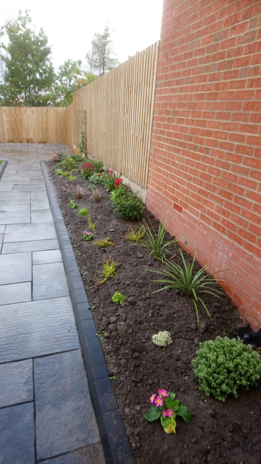Planting in autumn