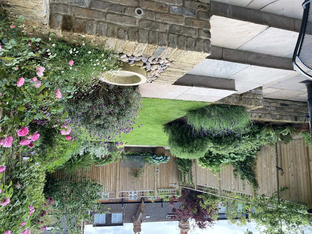 View across garden