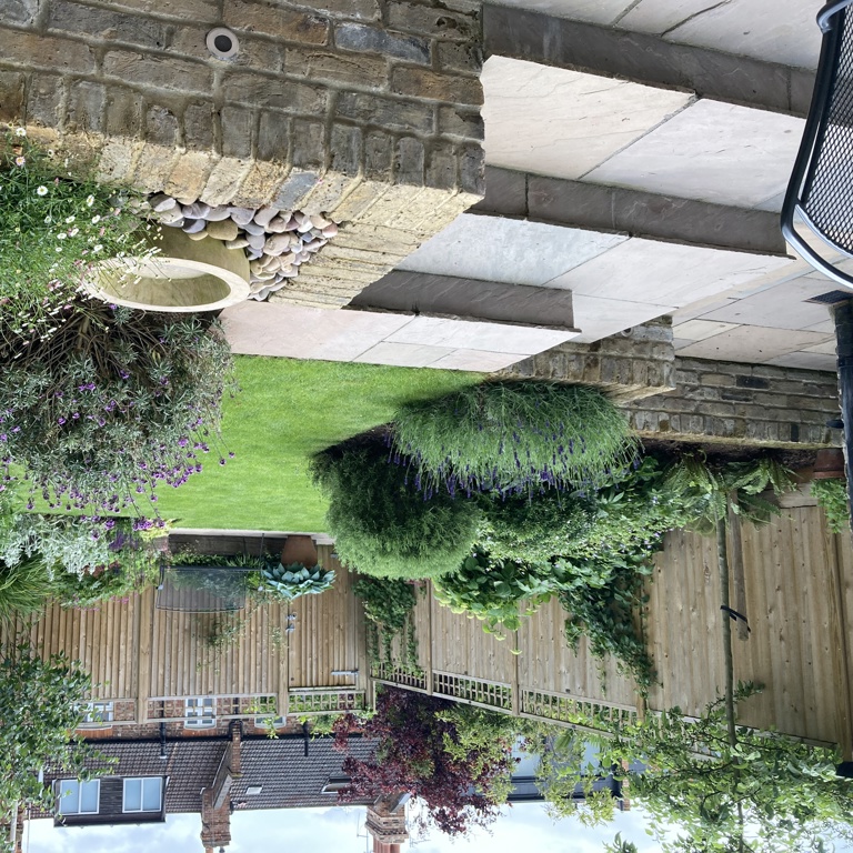 View across garden