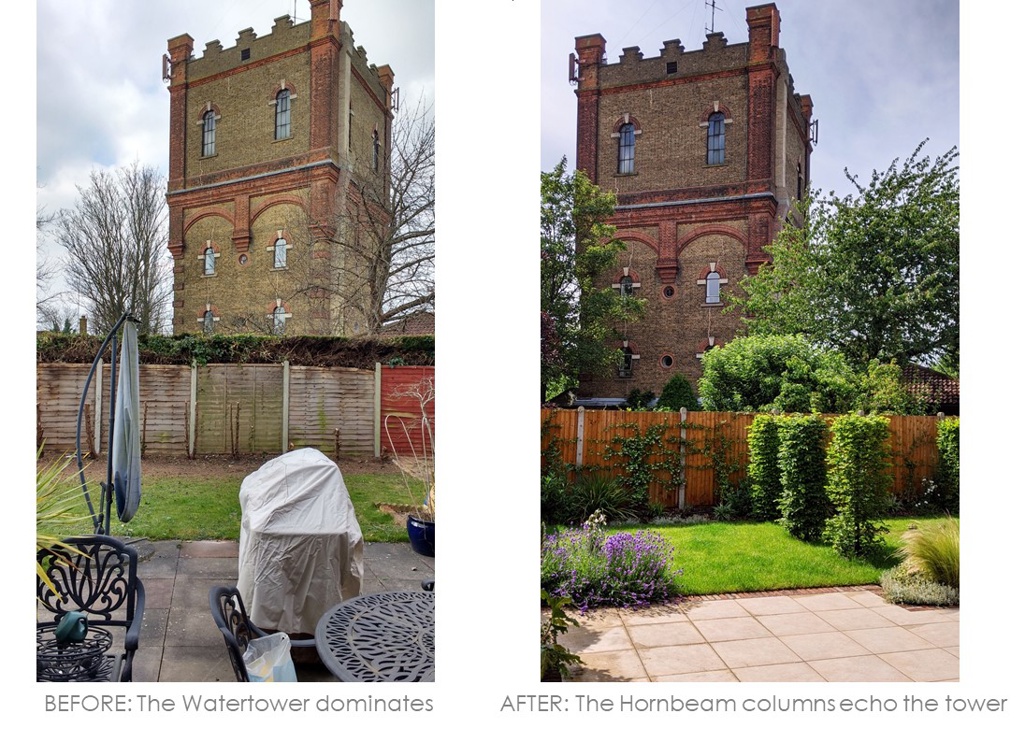 Watertower garden – Uxbridge – Before & after