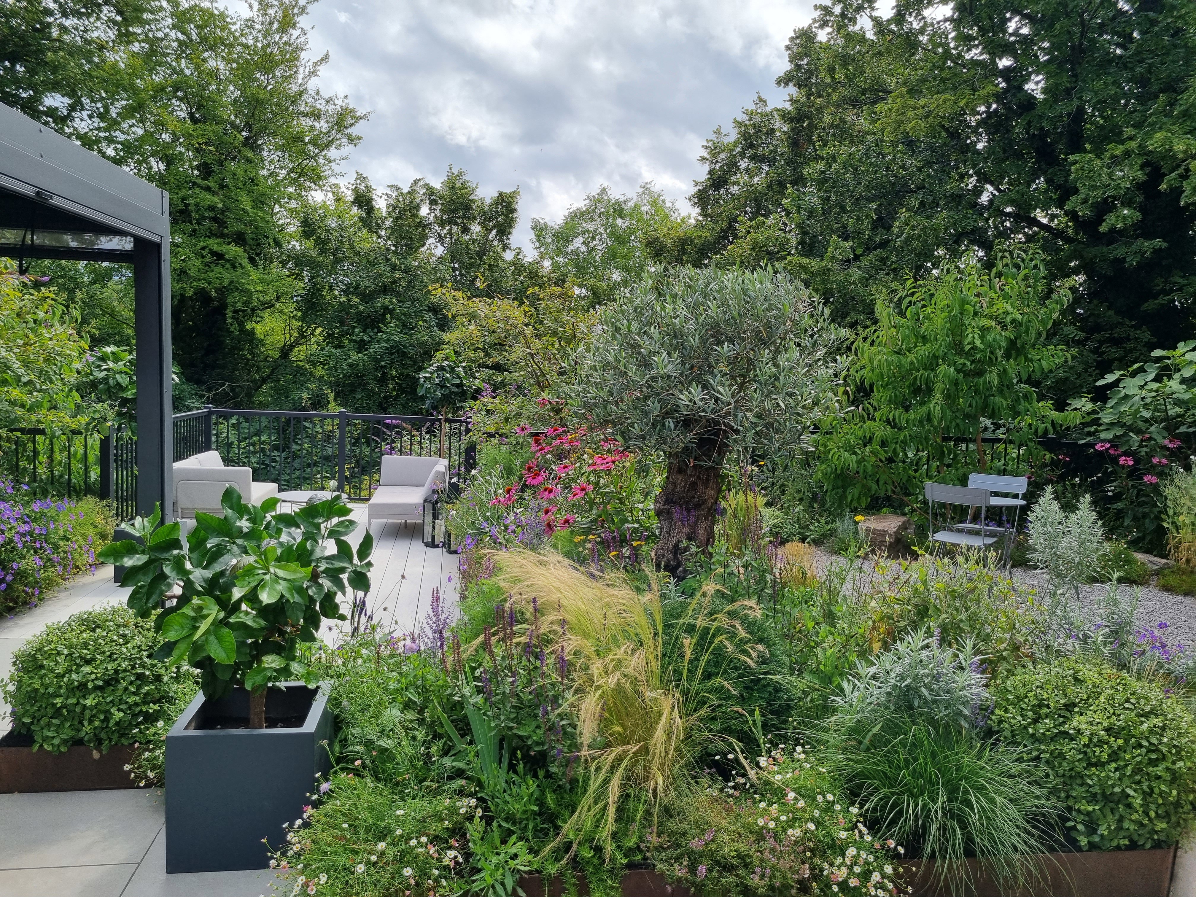The Treetop Garden ‎ ‎ ‎ 