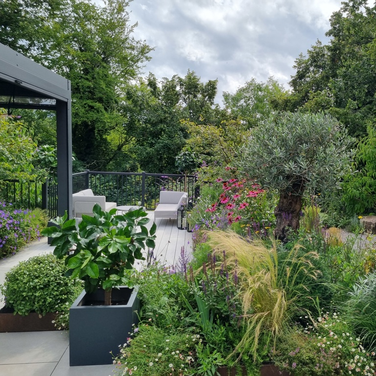 The Treetop Garden 