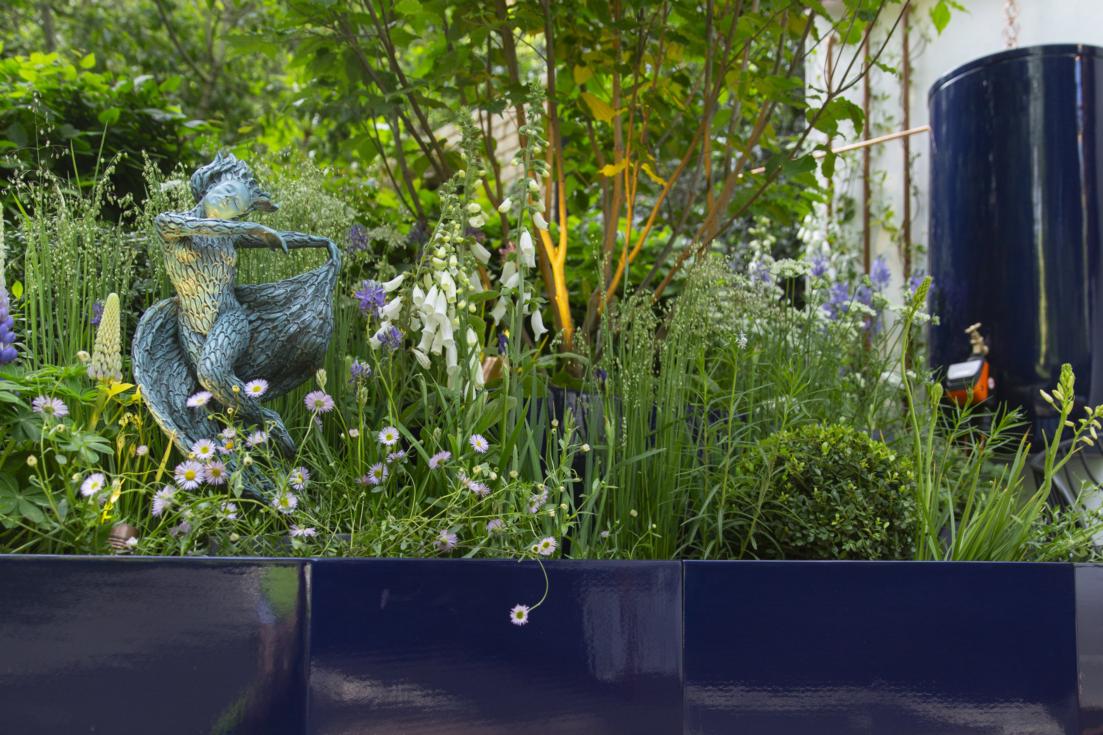 Sculpture, Multistem Tree & Water butt