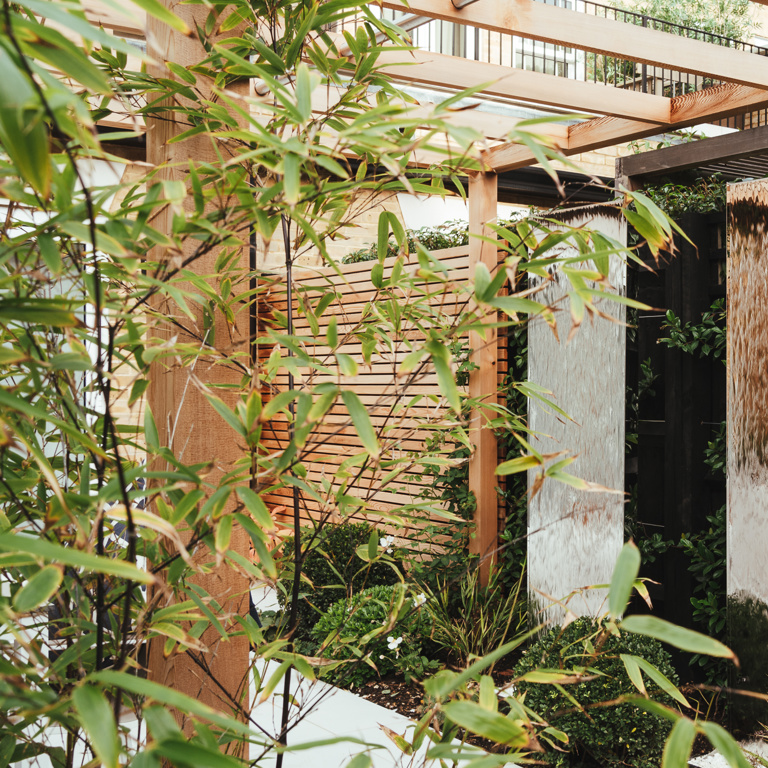 Small Courtyard garden