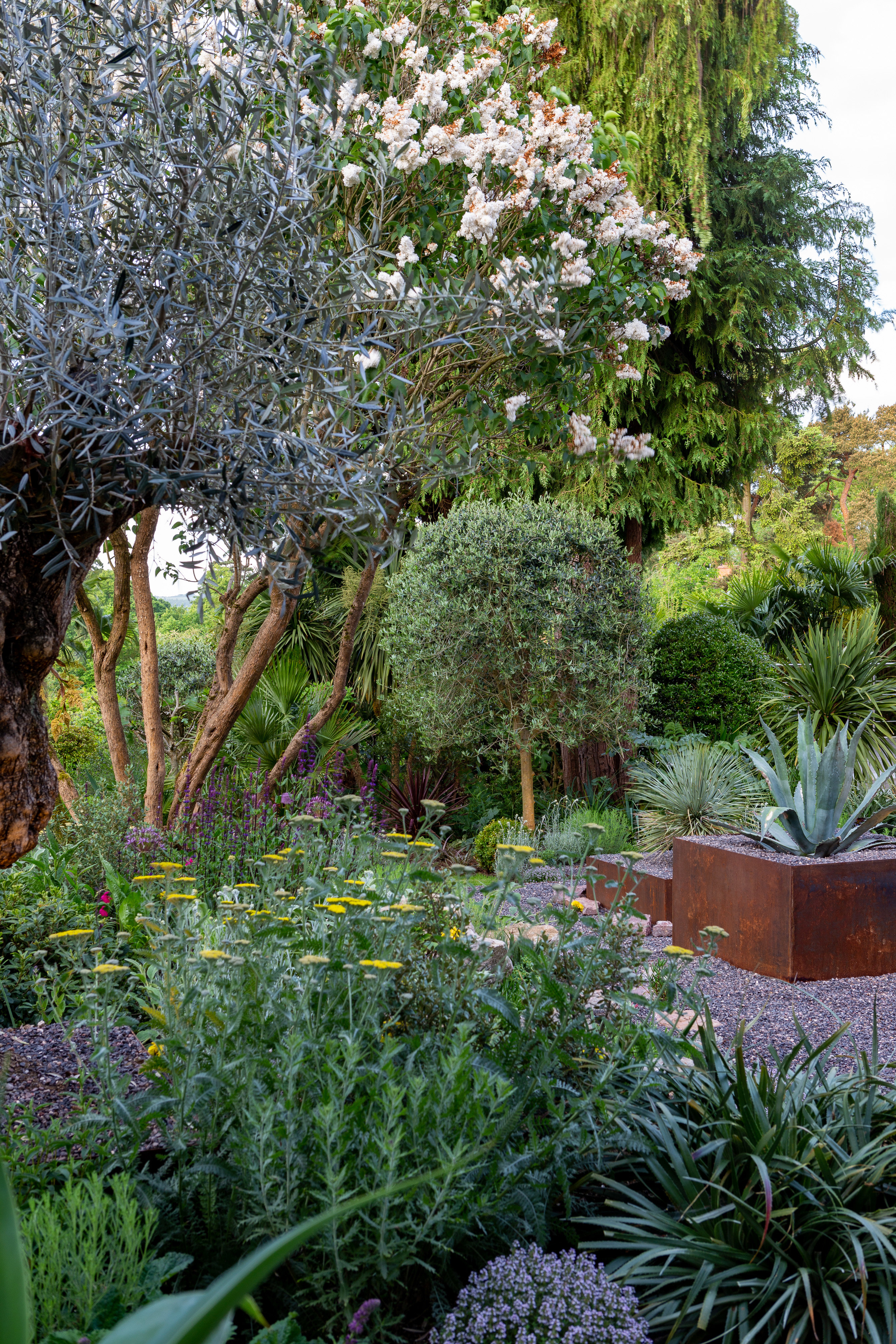 The Contemporary Courtyard Garden ‎ ‎ ‎ ‎ ‎ ‎ ‎ ‎ ‎ ‎ 
