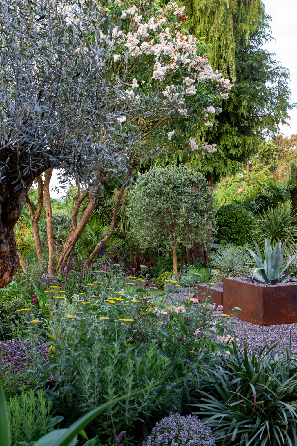 The Contemporary Courtyard Garden 
