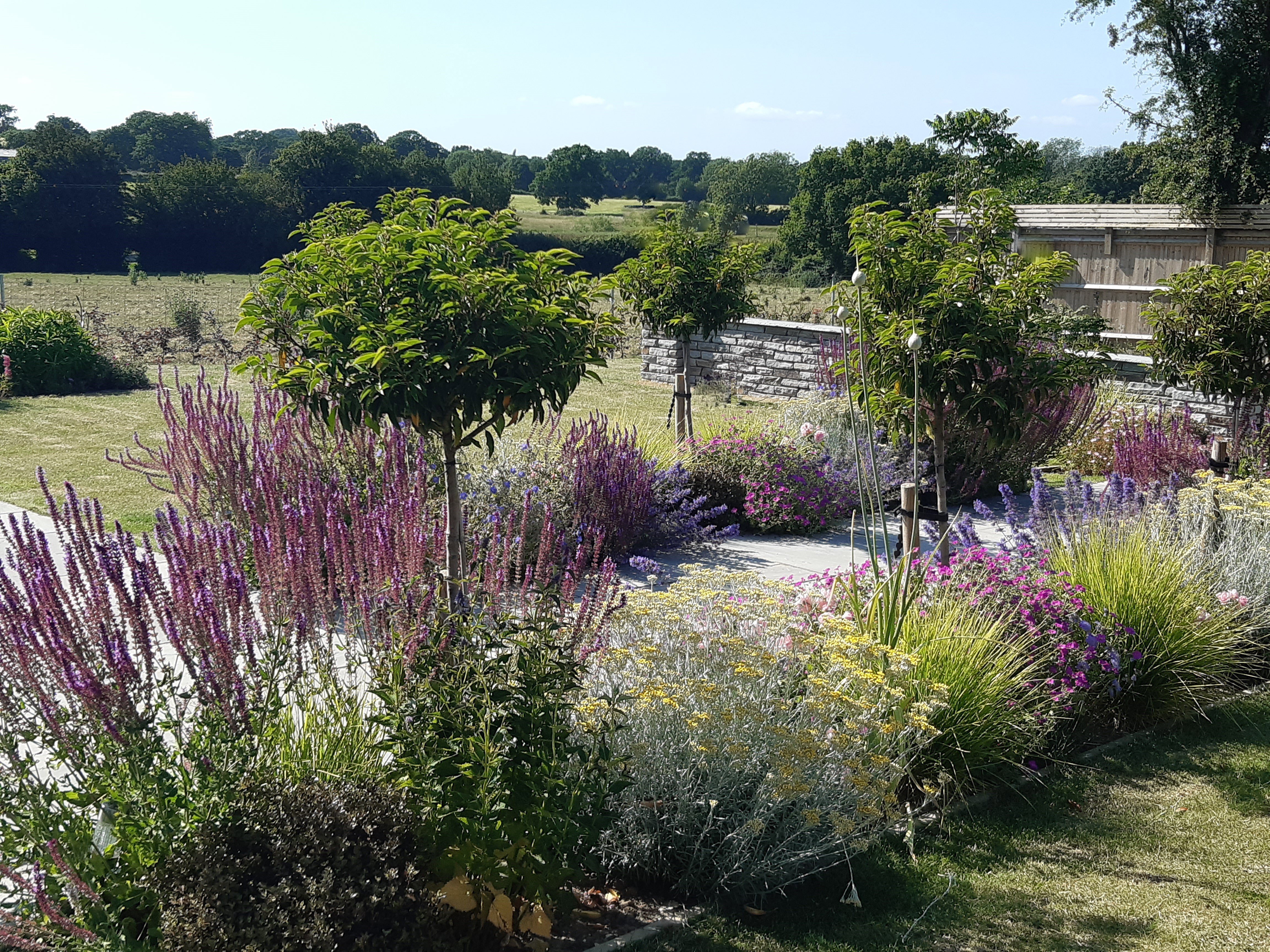 Perennial border