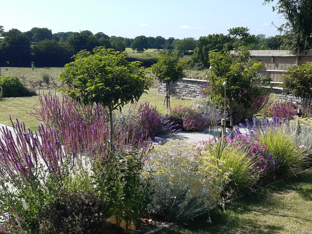 Perennial border
