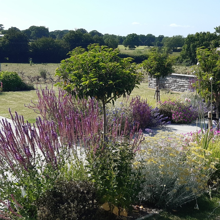 Perennial border