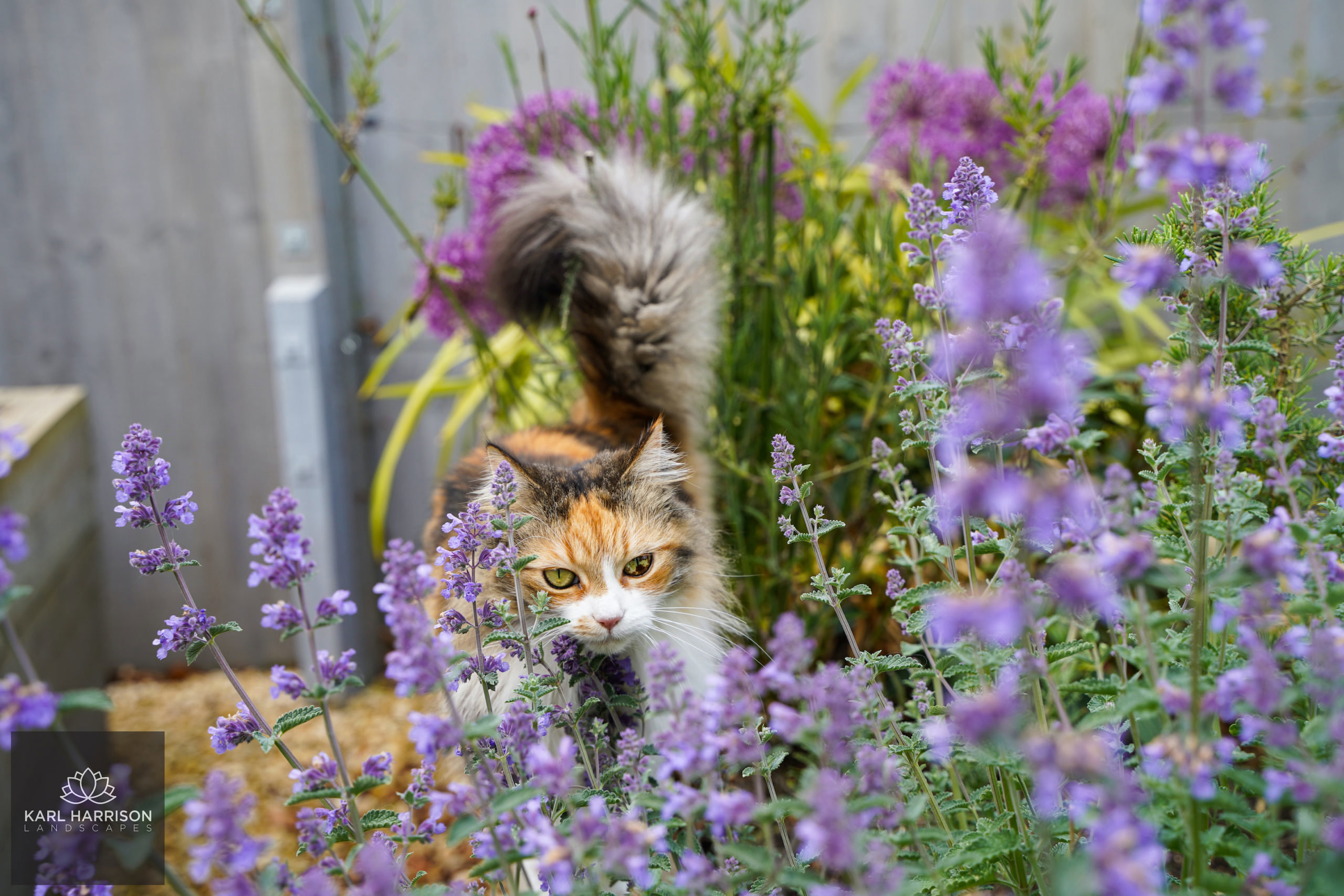 Garden Inspiration in Chalfont St. Peter
