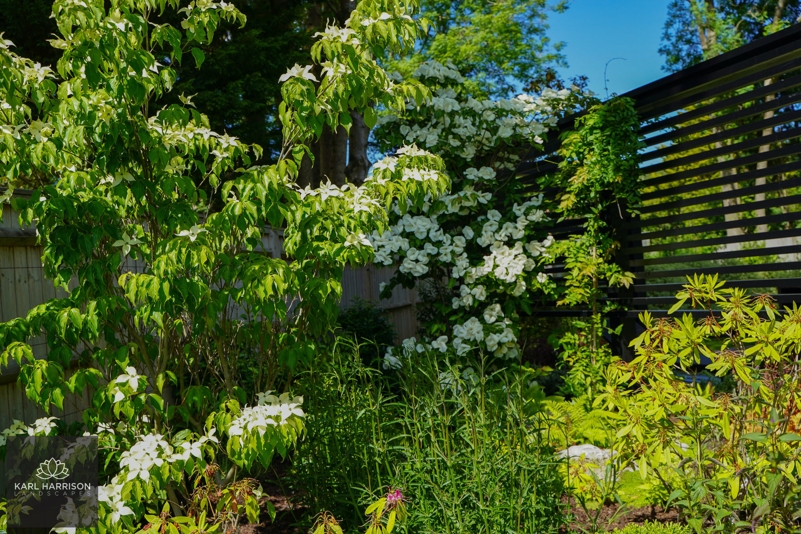 New Garden in Amersham