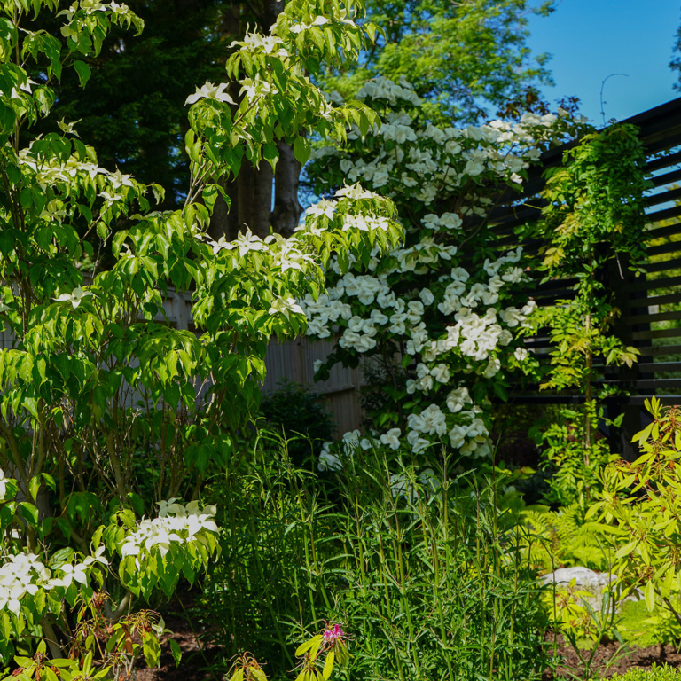 New Garden in Amersham
