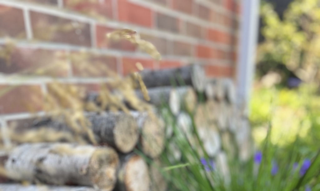 Bug hotel with locally sourced waste timber