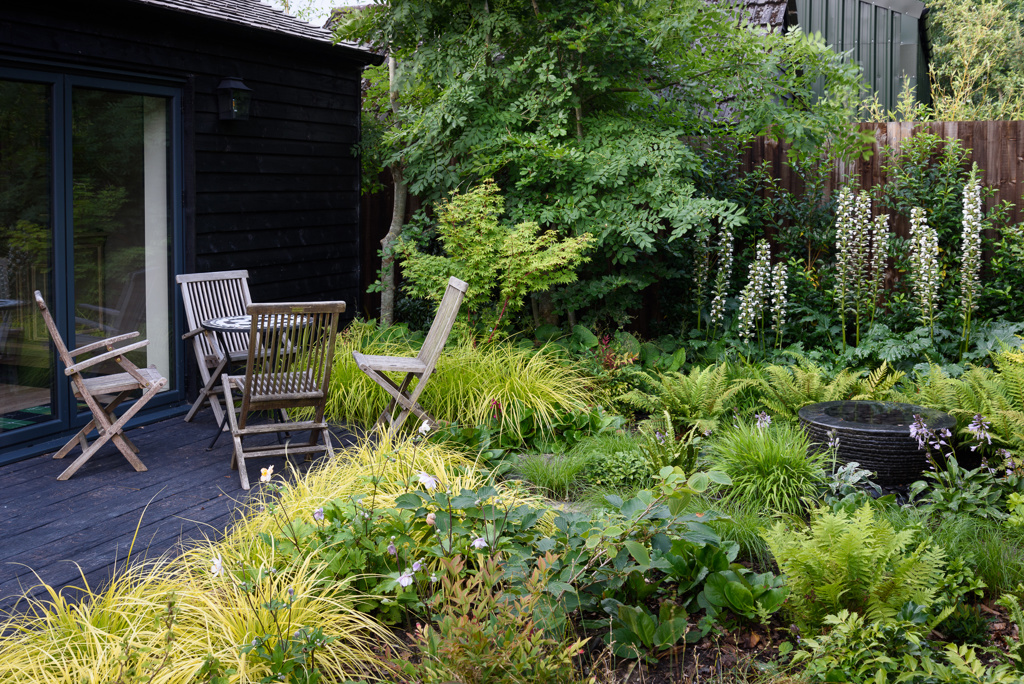 Water bowl and deck in woodland