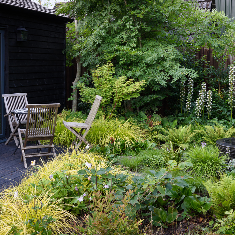 Water bowl and deck in woodland