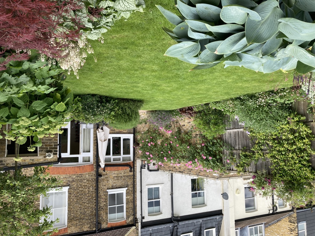 View across garden to house