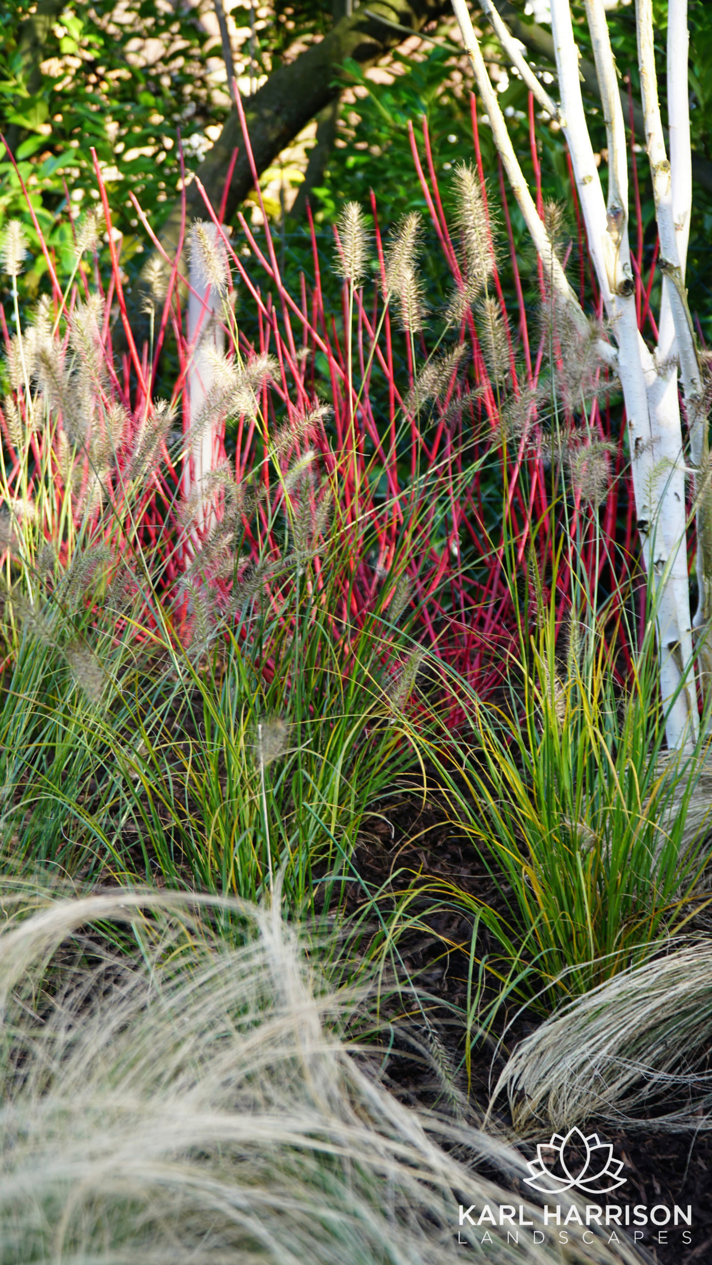 Beautiful gardens in Amersham