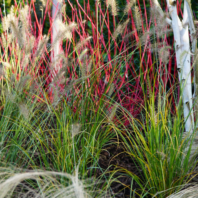 Beautiful gardens in Amersham