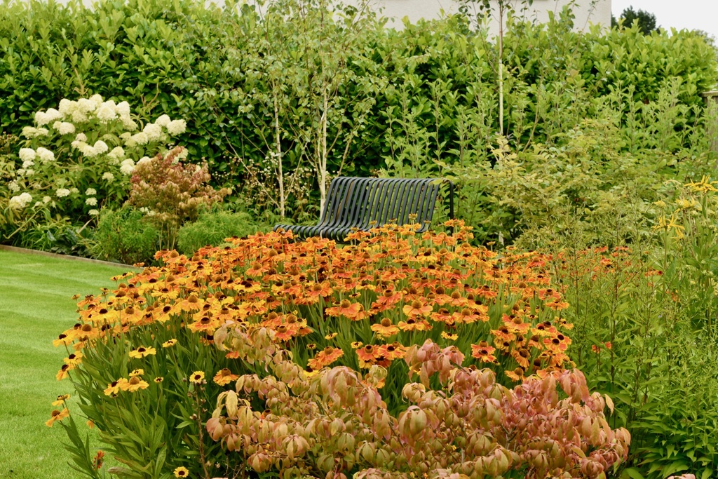 Bench nestled in planting
