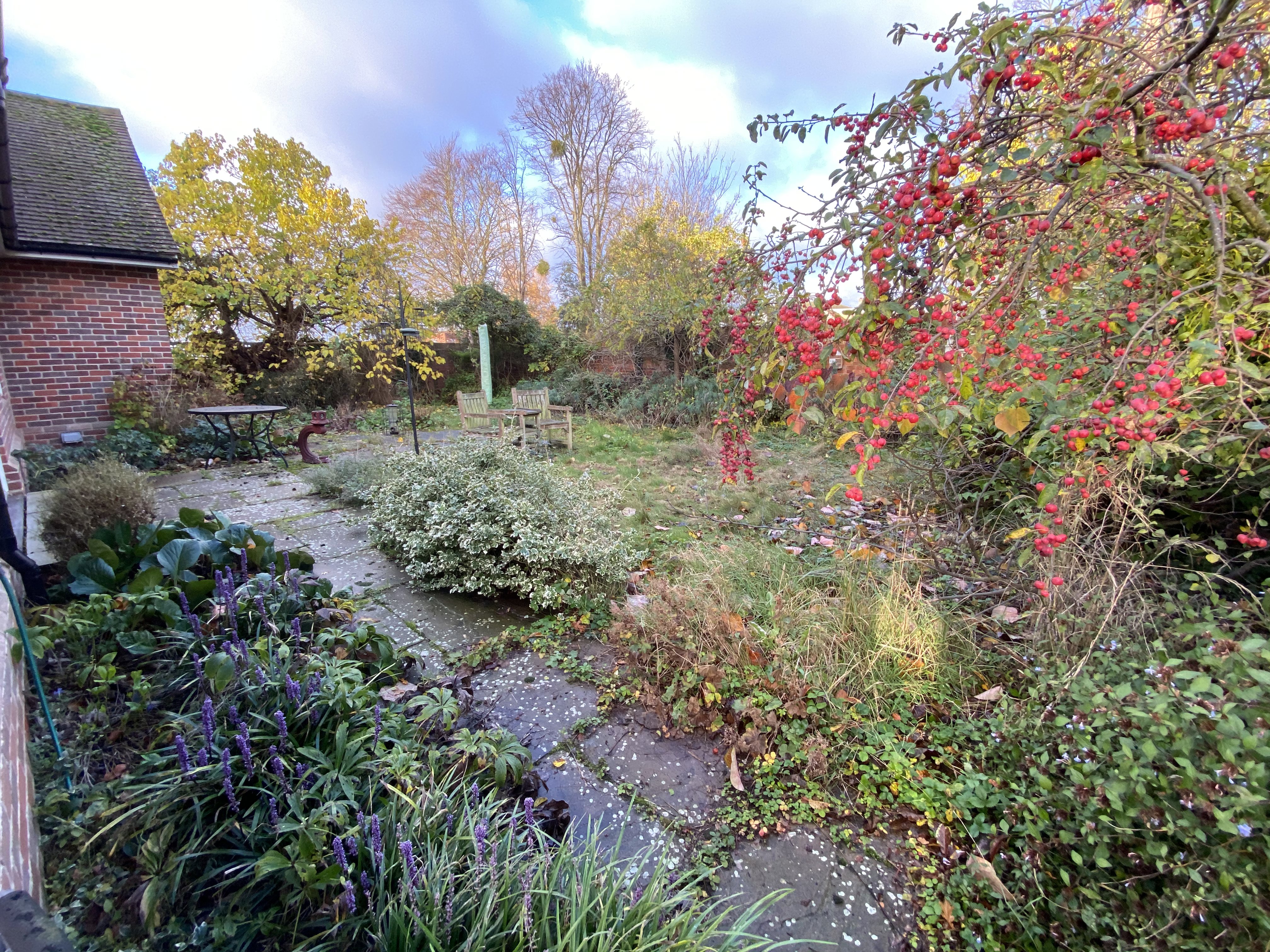 Walled Garden 5