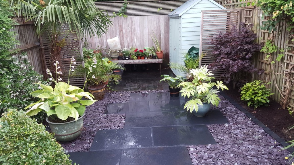 Small cottage style garden